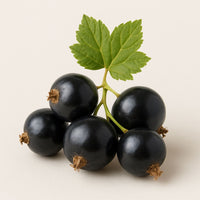 Blackcurrant