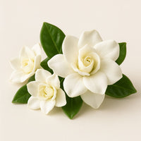 Gardenia