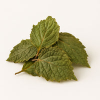 Patchouli