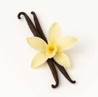 Vanilla